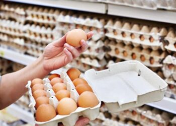 Yumurtada salmonella tehlikesi!