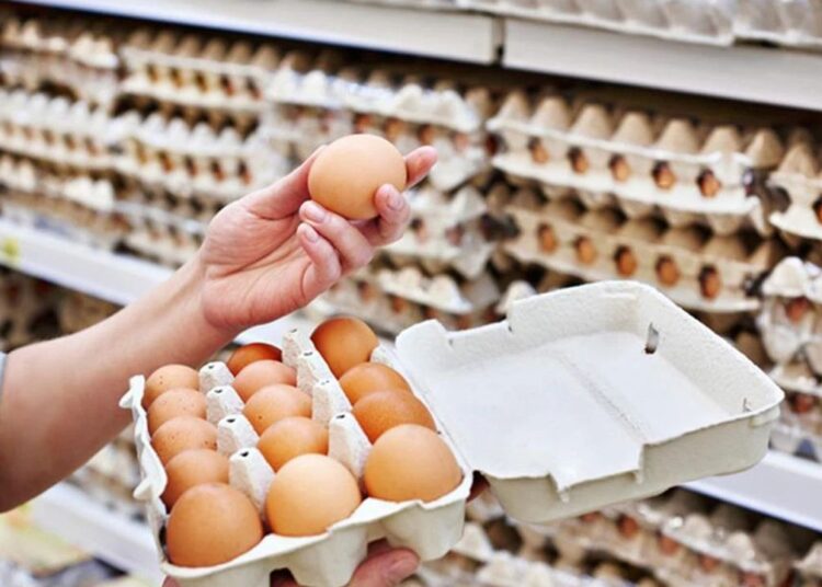 TÜİK açıkladı: Yumurta üretimi yüzde 8,8 azaldı 1 Yumurtada salmonella tehlikesi!