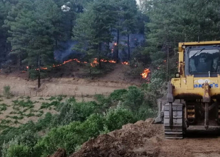 Şakalaşırken torpille 92 hektar ormanı yaktı, 10 yıl hapsi isteniyor