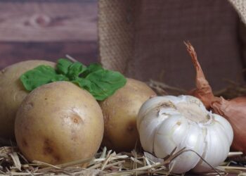 Yeşeren patates, soğan ve sarımsak yenir mi?