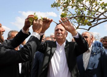 Ziraat Odaları Birliği Başkanı Bayraktar: Tarihin en büyük iklim afetlerinden birini yaşıyoruz