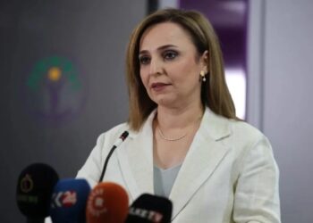DEM Parti Sözcüsü Ayşegül Doğan: PKK her an kongrenin toplandığını duyurabilir