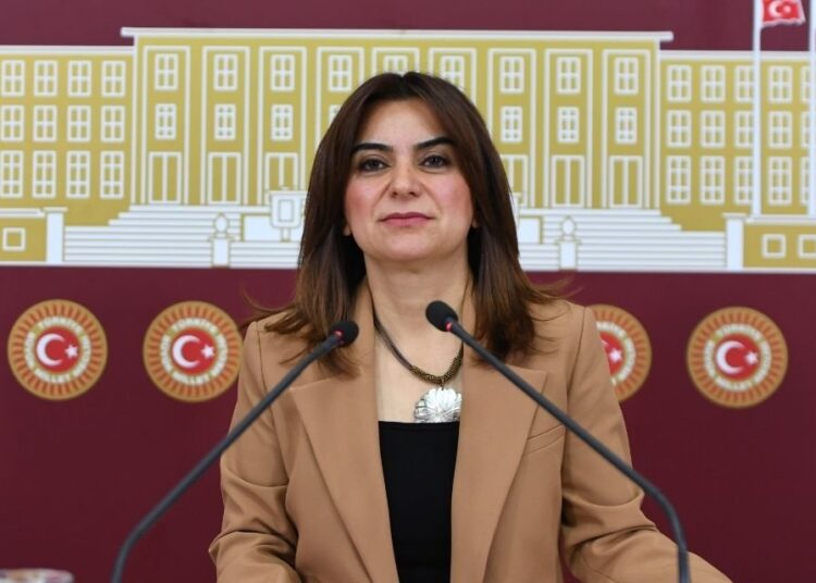 DEM Parti’li Koçyiğit anayasa tartışmalarına yanıt verdi: ‘AKP’nin istikbali için mücadele etmedik’