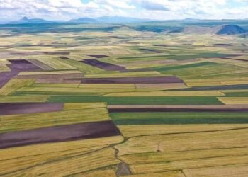 Beş ilde Hazine’ye ait arsaların satışı yapılacak