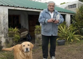 Uruguay eski Devlet Başkanı José Mujica yaşamını yitirdi
