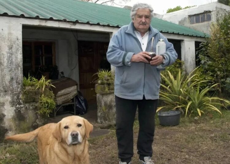 Uruguay eski Devlet Başkanı José Mujica yaşamını yitirdi 1 Uruguay eski Devlet Başkanı José Mujica yaşamını yitirdi