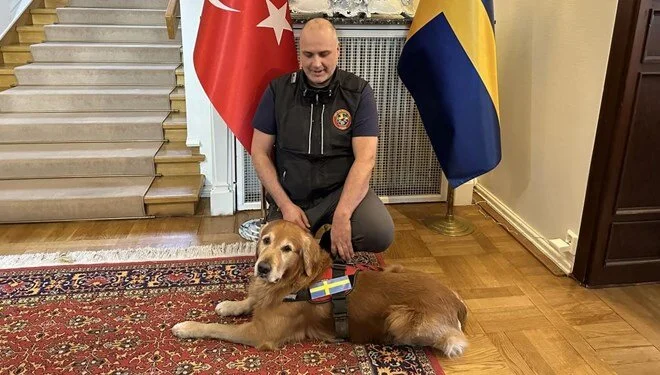 Türkiye'de göçük altında 18 kişiyi kurtarmıştı: Kahraman köpek hayatını kaybetti 1 Türkiye’de göçük altında 18 kişiyi kurtarmıştı: Kahraman köpek hayatını kaybetti