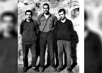 H. Agah Kalender yazdı I Üç fidana nasıl kıydınız?