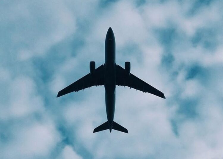 Seyir halindeki uçağın kapıları açmaya çalıştı