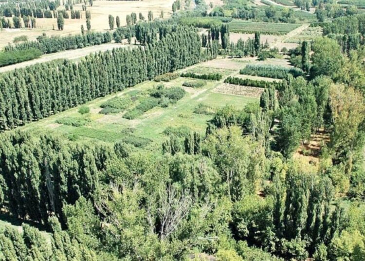 Atatürk Orman Çiftliği’nde talan: Metresi 1 TL'ye arazi kiralandı 1 Atatürk Orman Çiftliği’nde talan: Metresi 1 TL’ye arazi kiralandı