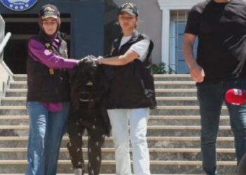 Arkadaşını öldürüp polise teslim olan mühendis: Nedenini hatırlamıyorum