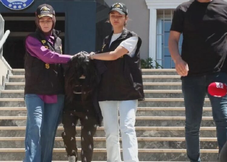 Arkadaşını öldürüp polise teslim olan mühendis: Nedenini hatırlamıyorum