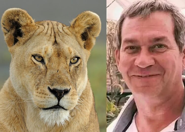 Namibya'ya safariye giden iş insanı aslan saldırısında öldü 1 Namibya’ya safariye giden iş insanı aslan saldırısında öldü