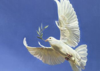 Doğu Ergil yazdı I Barış Üzerine