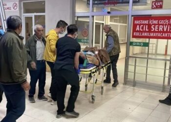 Bayram günü arazi anlaşmazlığı nedeniyle kardeşini öldürdü