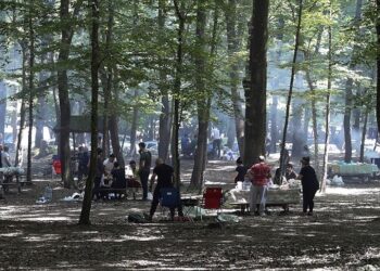 Valilik İstanbul’da ormanlık alanlara girişi yasakladı