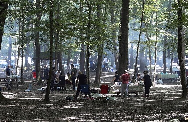 Valilik İstanbul’da ormanlık alanlara girişi yasakladı