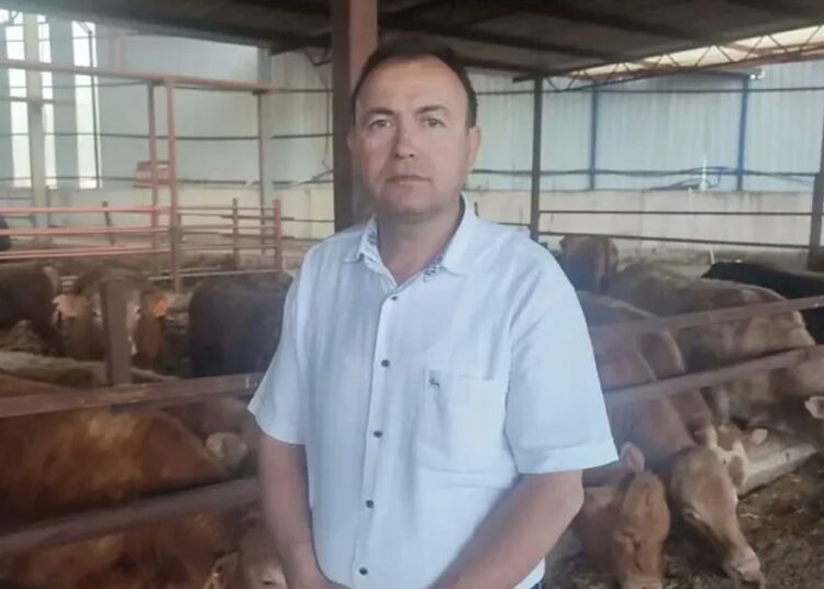 Kurbanlık dana ile selfie çekmek isterken öldü 1 Kurbanlık dana ile selfie çekmek isterken öldü