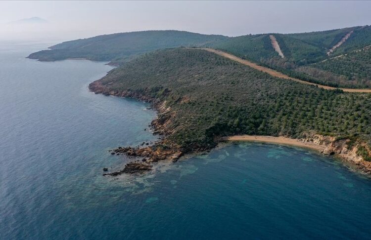 Deniz çevresindeki ormanlık alanlar turizme açıldı 1 Deniz çevresindeki ormanlık alanlar turizme açıldı