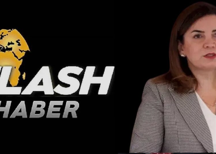 TMSF’nin el koyduğu Flash TV’yi MHP’li Arzu Erdem satın aldı