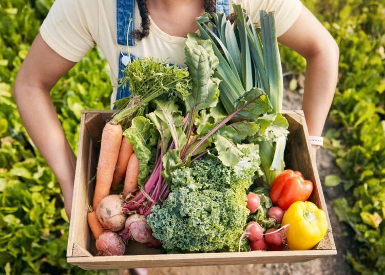 Gıda enflasyonunda dünya liderliği Türkiye’nin 1 Her yıl 600 milyon kişi gıda kaynaklı hastalıklarla savaşıyor