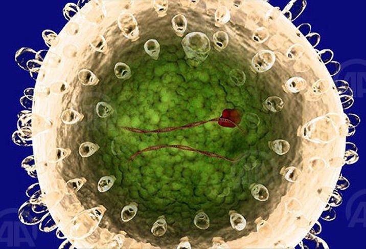 C hepatiti, hücreleri kansere mi dönüştürüyor?