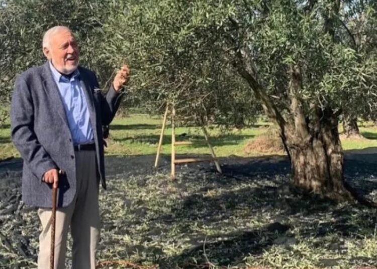 İlber Ortaylı’dan zeytinliklerin madencilik faaliyetlerine açılmasına tepki