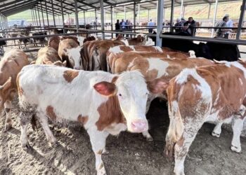 Bayrama 1 gün kala kriz: Üç ilçe karantina altına alındı