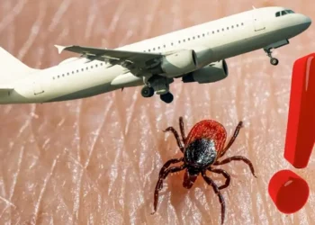 Uzmanlardan uyarı: Keneler biyolojik silah olarak kullanılabilir