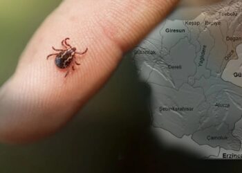 Kene şüphesiyle hastaneye kaldırılan çoban hayatını kaybetti