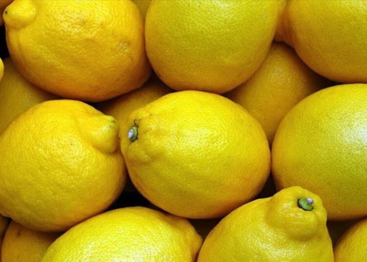 Don etkisi piyasaları sarstı: Limonun tanesi 27 TL 1 Don etkisi piyasaları sarstı: Limonun tanesi 27 TL