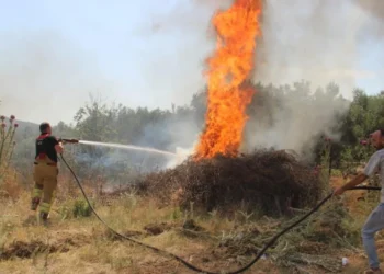 Türkiye genelinde orman yangınlarında 17 kişi gözaltına alındı