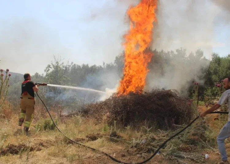 Türkiye genelinde orman yangınlarında 17 kişi gözaltına alındı