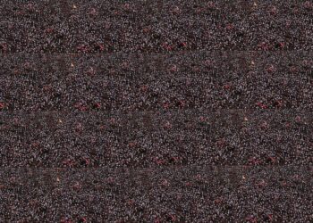 Ali Bulaç yazdı I Çokluğun türleri ve asli değeri