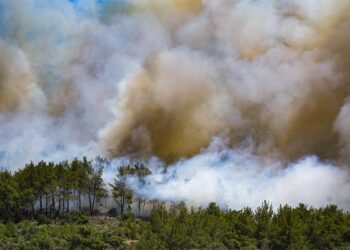 6 ilde orman yangınlarıyla mücadele sürüyor