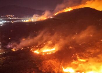 İzmir Aliağa’da büyük yangın: Evler tahliye edildi