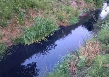 Dereye salınan boyalı su ve atıklarla köylünün tarım suyu zehirlendi