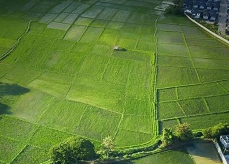 TOKİ, 312 taşınmazı açık artırmayla satışa çıkarıyor 1 TOKİ 41 ilde 310 arsayı satışa çıkarıyor