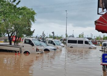 Sağanak yağışın vurduğu Trabzon’da ev ve iş yerlerini sular bastı