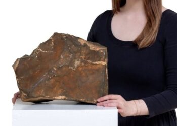 Mars’tan düşen göktaşı 5,3 milyon dolara satılmıştı: Kaçakçılık soruşturması açıldı