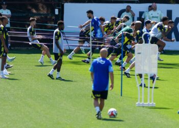Fenerbahçe, Archie Brown’u kadrosuna kattı