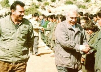 Doğu Perinçek: Silah arkadaşı olacağımız sürece giriyoruz
