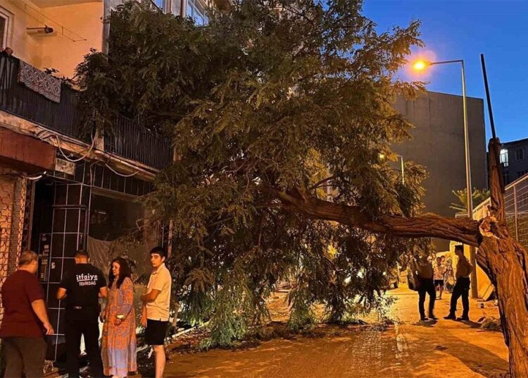 Balkonda kahve içerken üzerine ağaç devrildi