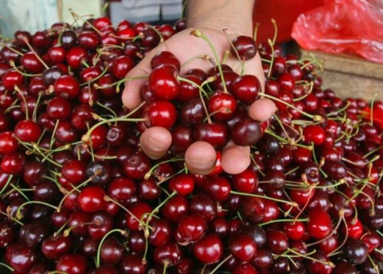 Taneyle satılmaya başlanan kiraz, haziran ayının zam şampiyonu oldu