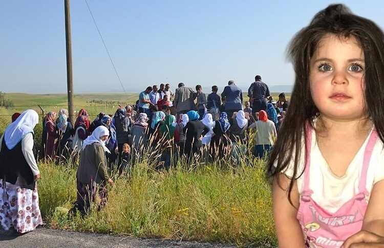 Leyla davası Yargıtay’dan döndü: 7 sanık yeniden yargılanacak