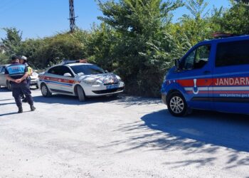 Antalya’da hayvan parkından kaçarak 1 kişiyi yaralayan aslan öldürüldü