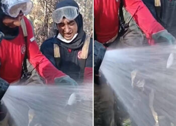 Yangın bölgesinde canlı balık bulundu: İtfaiye kurtarmak için seferber oldu