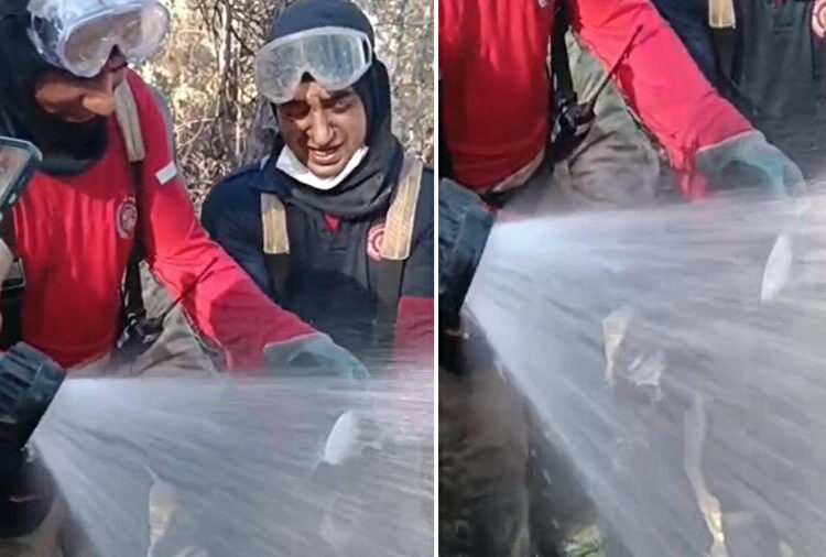 Yangın bölgesinde canlı balık bulundu: İtfaiye kurtarmak için seferber oldu 1 Yangın bölgesinde canlı balık bulundu: İtfaiye kurtarmak için seferber oldu