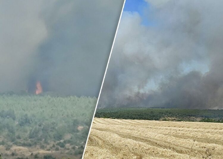 Silivri’de orman yangını: Havadan ve karadan müdahale ediliyor