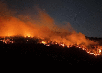 4 gün önce söndürülen ormanlık alanda yeniden yangın çıktı